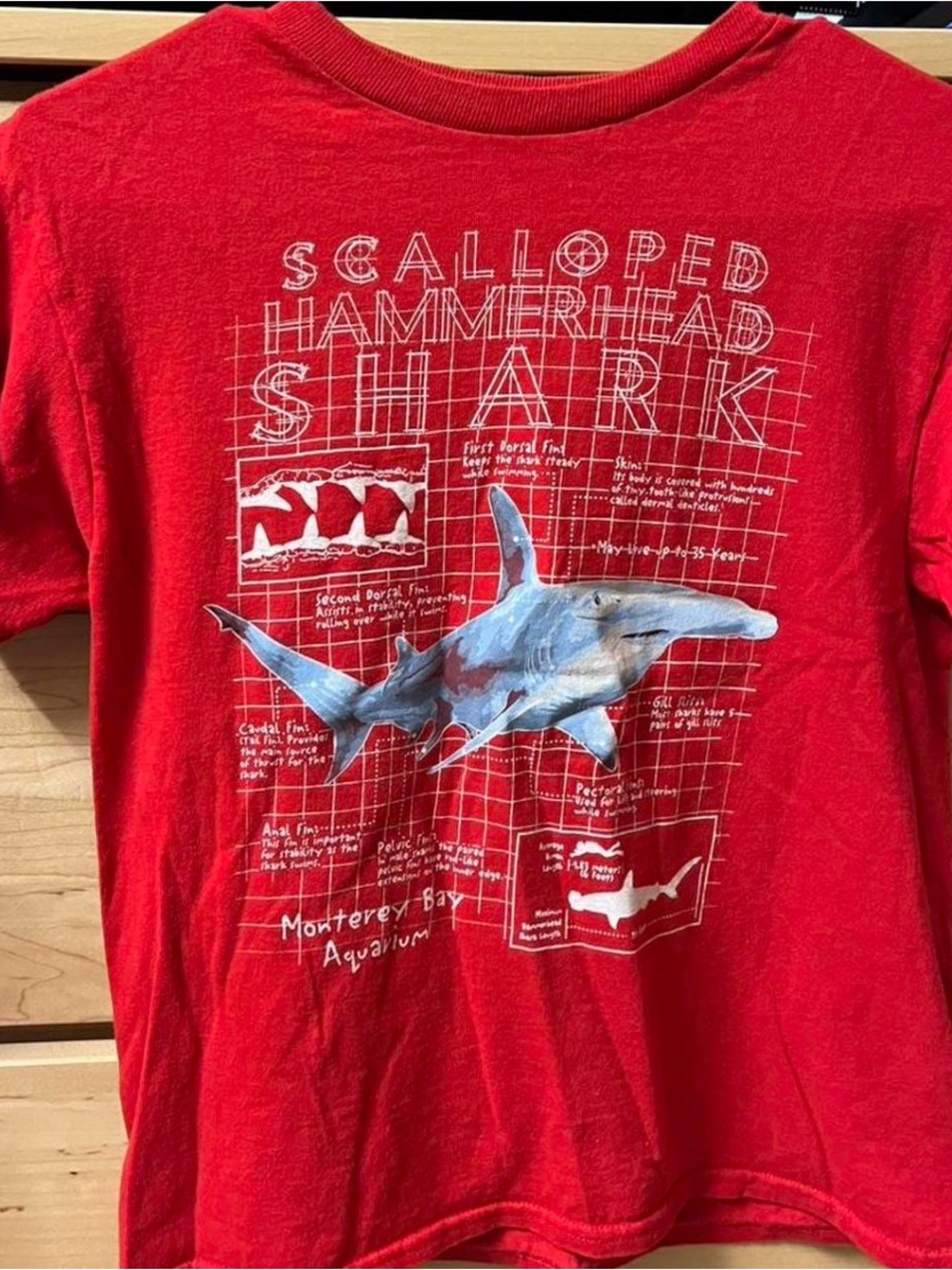 Scalloped Hammerhead Shark Graphic Tee - Red